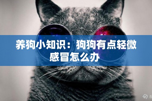 養狗小知識：狗狗有點輕微感冒怎么辦 