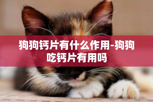 狗狗鈣片有什么作用-狗狗吃鈣片有用嗎