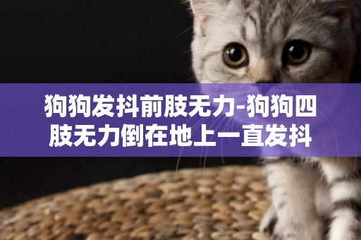 狗狗發抖前肢無力-狗狗四肢無力倒在地上一直發抖
