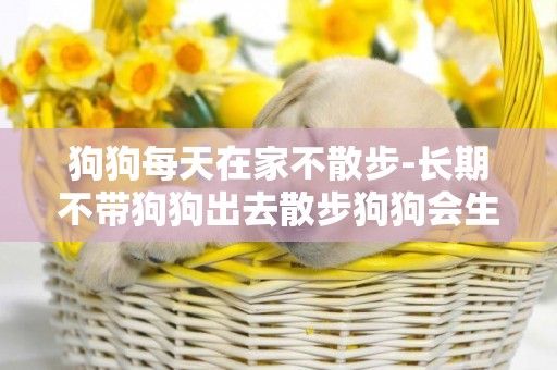 狗狗每天在家不散步-長期不帶狗狗出去散步狗狗會生病嗎？