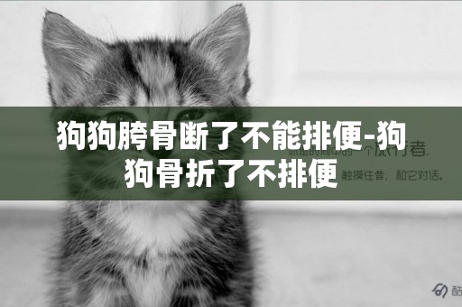 狗狗胯骨斷了不能排便-狗狗骨折了不排便