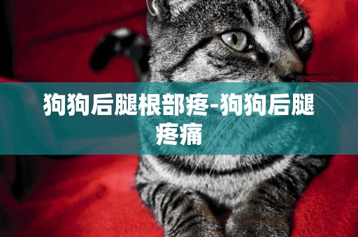 狗狗后腿根部疼-狗狗后腿疼痛