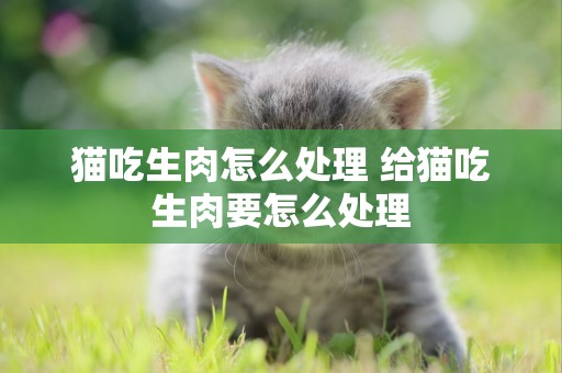 貓吃生肉怎么處理 給貓吃生肉要怎么處理