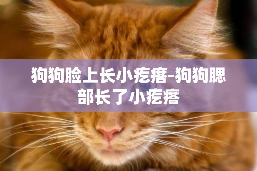 狗狗臉上長小疙瘩-狗狗腮部長了小疙瘩