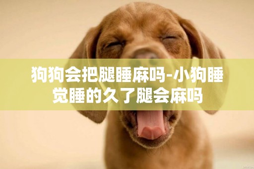 狗狗會把腿睡麻嗎-小狗睡覺睡的久了腿會麻嗎