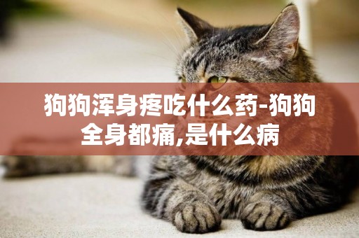 狗狗渾身疼吃什么藥-狗狗全身都痛,是什么病