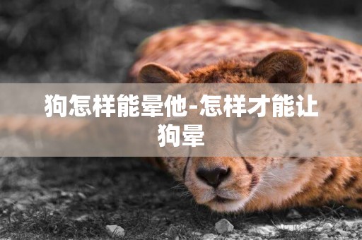 狗怎樣能暈他-怎樣才能讓狗暈