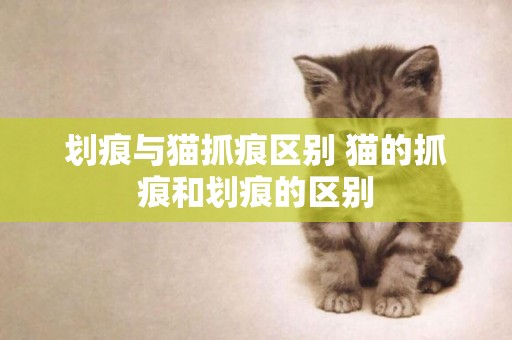 劃痕與貓抓痕區別 貓的抓痕和劃痕的區別