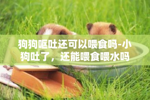 狗狗嘔吐還可以喂食嗎-小狗吐了，還能喂食喂水嗎