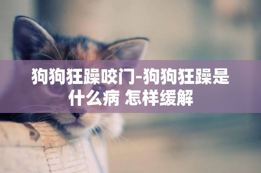 狗狗狂躁咬門-狗狗狂躁是什么病 怎樣緩解