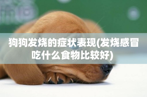 狗狗發燒的癥狀表現(發燒感冒吃什么食物比較好) 