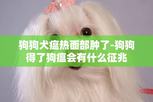 狗狗犬瘟熱面部腫了-狗狗得了狗瘟會有什么征兆