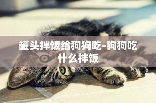 罐頭拌飯給狗狗吃-狗狗吃什么拌飯