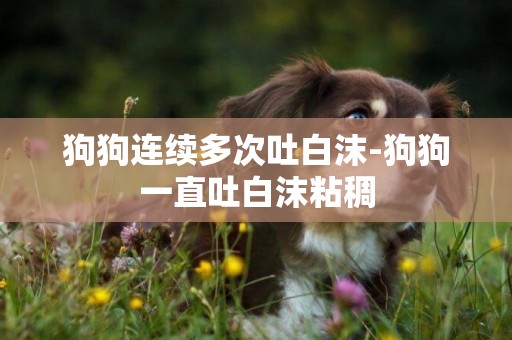 狗狗連續多次吐白沫-狗狗一直吐白沫粘稠