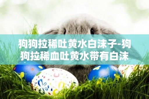 狗狗拉稀吐黃水白沫子-狗狗拉稀血吐黃水帶有白沫