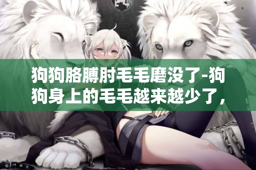 狗狗胳膊肘毛毛磨沒了-狗狗身上的毛毛越來越少了，有什么解決的辦法嗎？