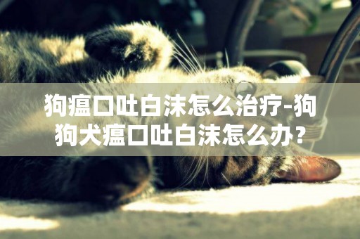 狗瘟口吐白沫怎么治療-狗狗犬瘟口吐白沫怎么辦？