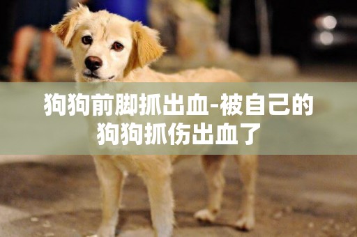 狗狗前腳抓出血-被自己的狗狗抓傷出血了