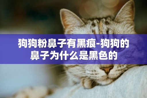 狗狗粉鼻子有黑痕-狗狗的鼻子為什么是黑色的