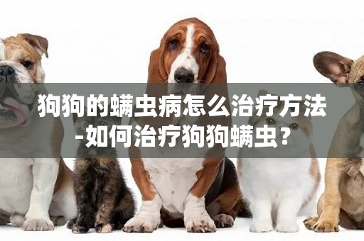 狗狗的螨蟲病怎么治療方法-如何治療狗狗螨蟲？