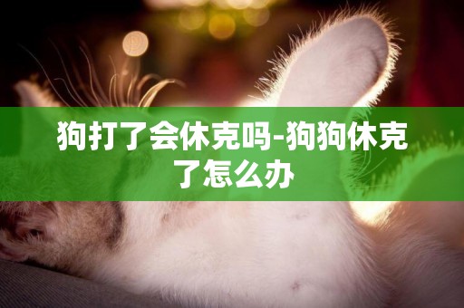 狗打了會休克嗎-狗狗休克了怎么辦