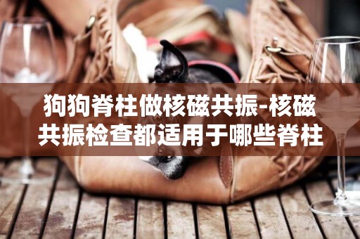 狗狗脊柱做核磁共振-核磁共振檢查都適用于哪些脊柱疾病呢？