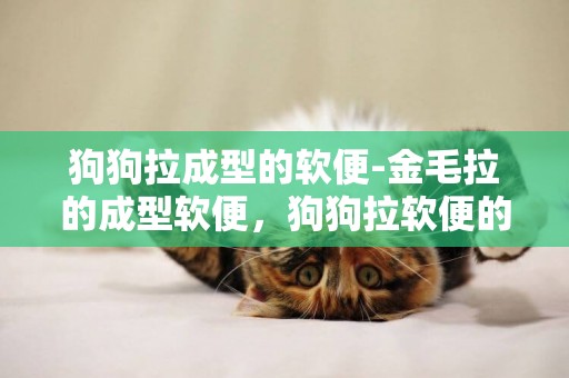 狗狗拉成型的軟便-金毛拉的成型軟便，狗狗拉軟便的原因