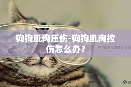 狗狗肌肉壓傷-狗狗肌肉拉傷怎么辦？