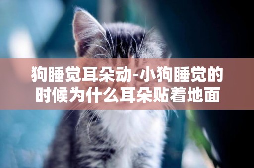 狗睡覺耳朵動-小狗睡覺的時候為什么耳朵貼著地面