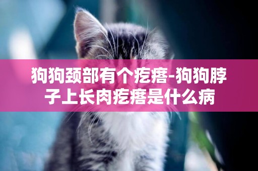 狗狗頸部有個疙瘩-狗狗脖子上長肉疙瘩是什么病