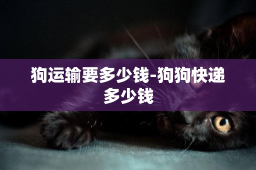 狗運輸要多少錢-狗狗快遞多少錢