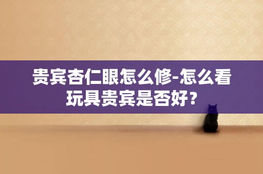 貴賓杏仁眼怎么修-怎么看玩具貴賓是否好？