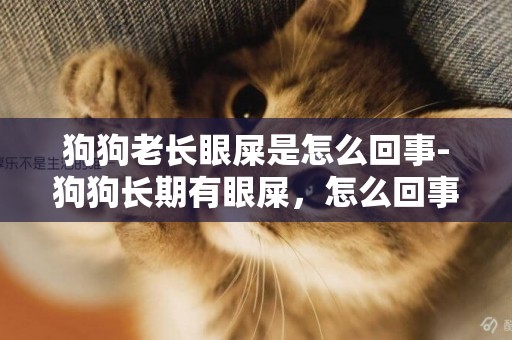 狗狗老長眼屎是怎么回事-狗狗長期有眼屎，怎么回事