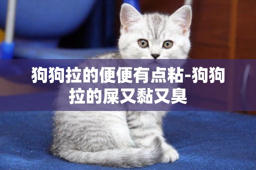 狗狗拉的便便有點粘-狗狗拉的屎又黏又臭