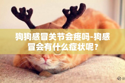 狗狗感冒關節會疼嗎-狗感冒會有什么癥狀呢？