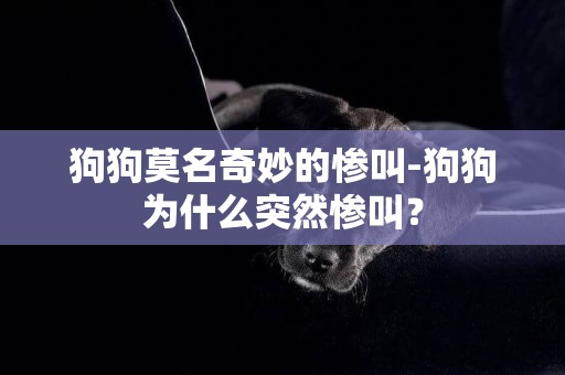 狗狗莫名奇妙的慘叫-狗狗為什么突然慘叫？