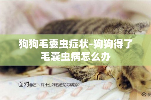 狗狗毛囊蟲癥狀-狗狗得了毛囊蟲病怎么辦