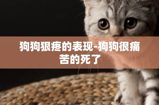狗狗狠疼的表現-狗狗很痛苦的死了