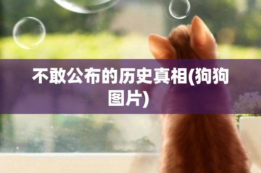不敢公布的歷史真相(狗狗圖片) 