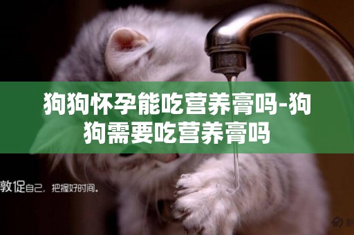 狗狗懷孕能吃營養膏嗎-狗狗需要吃營養膏嗎