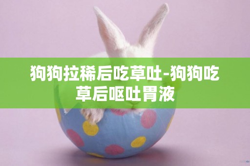 狗狗拉稀后吃草吐-狗狗吃草后嘔吐胃液