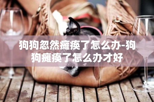 狗狗忽然癱瘓了怎么辦-狗狗癱瘓了怎么辦才好