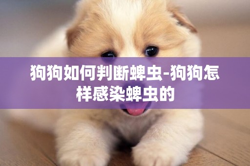 狗狗如何判斷蜱蟲-狗狗怎樣感染蜱蟲的
