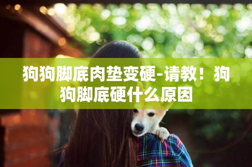 狗狗腳底肉墊變硬-請教！狗狗腳底硬什么原因