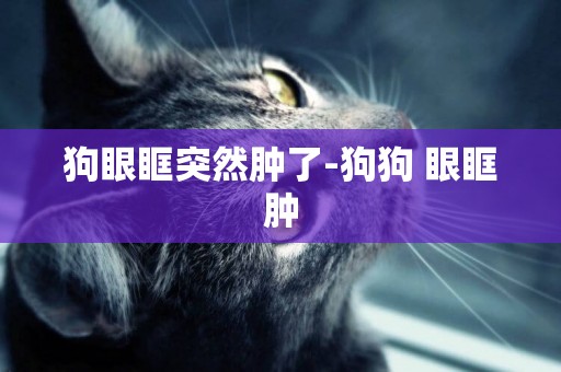 狗眼眶突然腫了-狗狗 眼眶腫