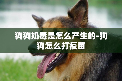 狗狗奶毒是怎么產生的-狗狗怎么打疫苗