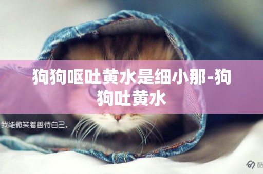 狗狗嘔吐黃水是細小那-狗狗吐黃水