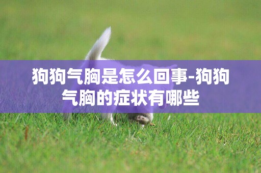 狗狗氣胸是怎么回事-狗狗氣胸的癥狀有哪些