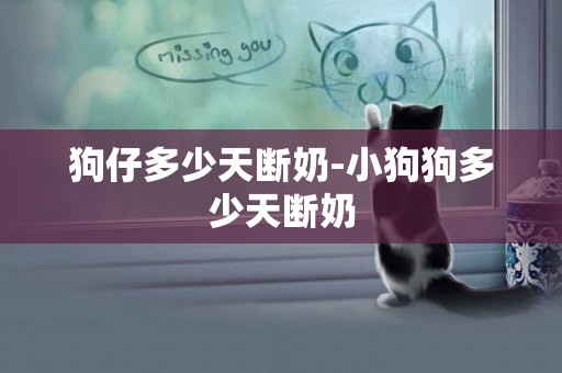 狗仔多少天斷奶-小狗狗多少天斷奶