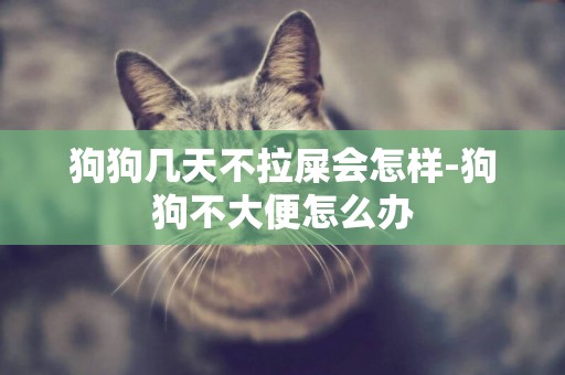 狗狗幾天不拉屎會怎樣-狗狗不大便怎么辦